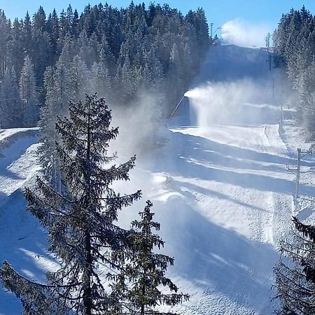 Woodside Woodside Apartments Kopaonik Free Parking & Spa , Free Ski Locker 外观 照片