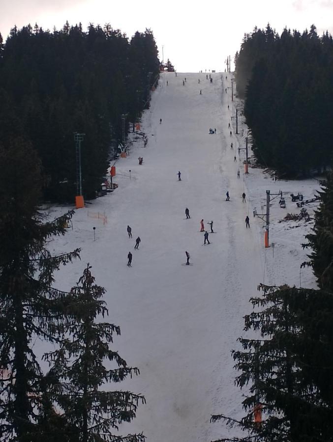 Woodside Woodside Apartments Kopaonik Free Parking & Spa , Free Ski Locker 外观 照片