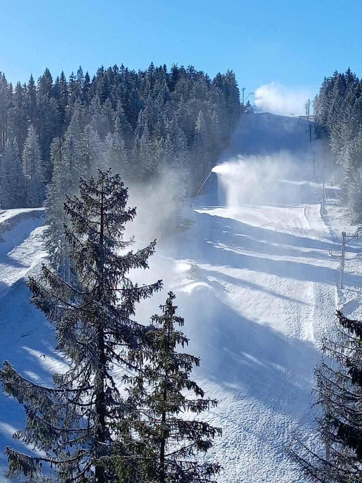 Woodside Woodside Apartments Kopaonik Free Parking & Spa , Free Ski Locker 外观 照片